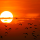 Image of the article titled The Worst Arguments People Make Against Switching to Renewable Energy